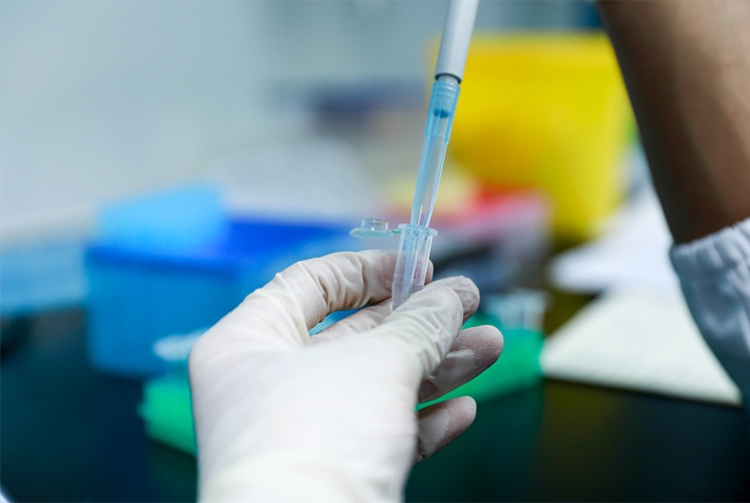 必发888(唯一)官方网站