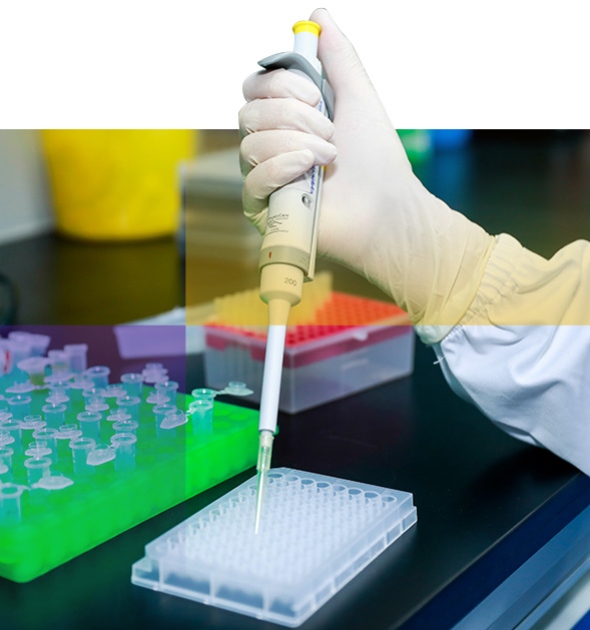 必发888(唯一)官方网站