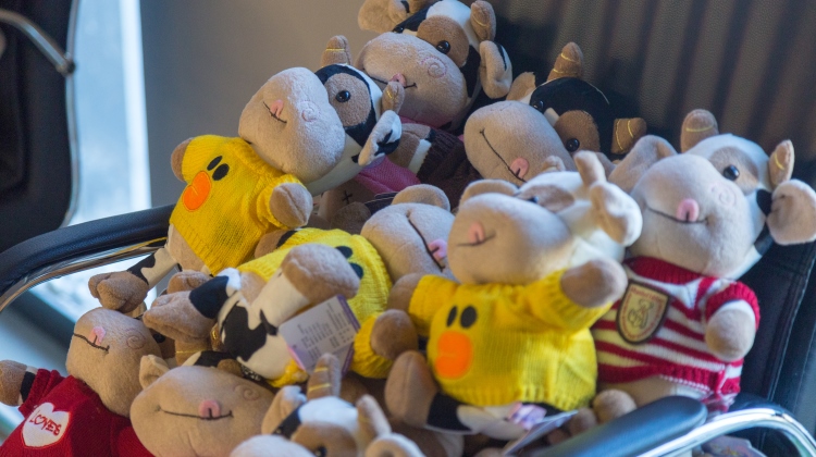 必发888(唯一)官方网站