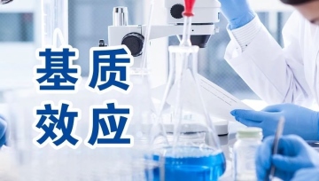 必发888(唯一)官方网站